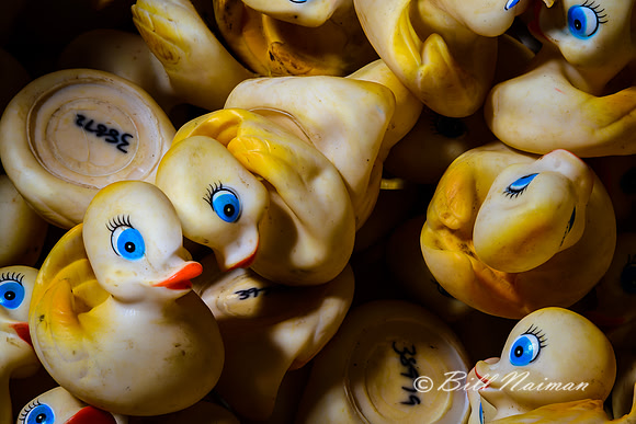 Rubber Duck Warehouse (5)