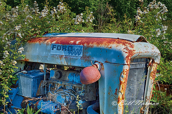 Ford (1)