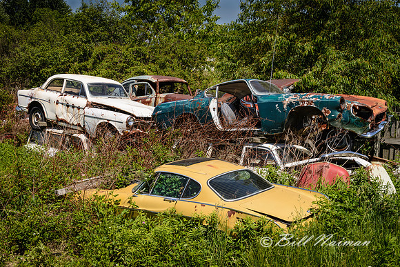 Volvo (13)