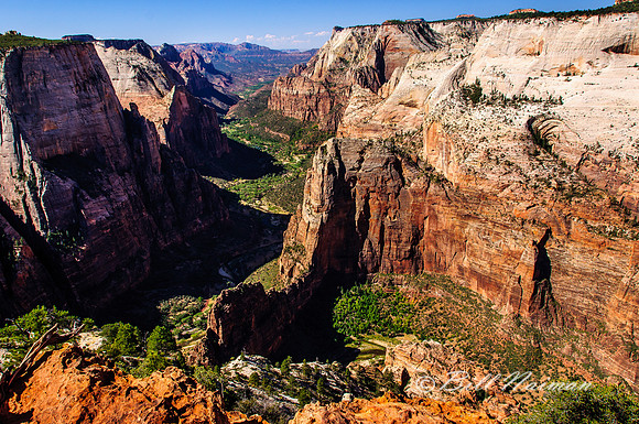 View From Observation Point