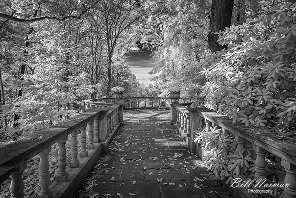 Garden Patio - Infrared B&W