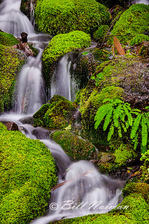 Bunch Falls Section View 2