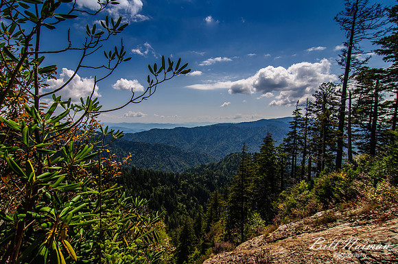 Alum Cave Bluffs Trail - 2011 (1)