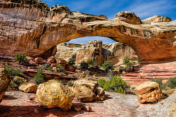 Capitol Reef 2016 (1)